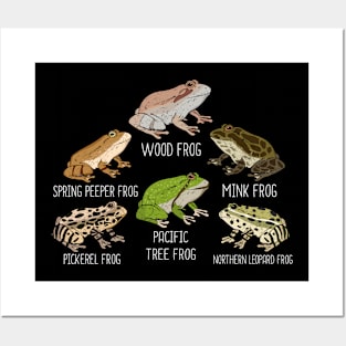 Frog Species Frog Breeds Herping Amphibians Frogs Posters and Art